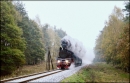 Ol49-69 wraca z pociągiem specjalnym do Wolsztyna...